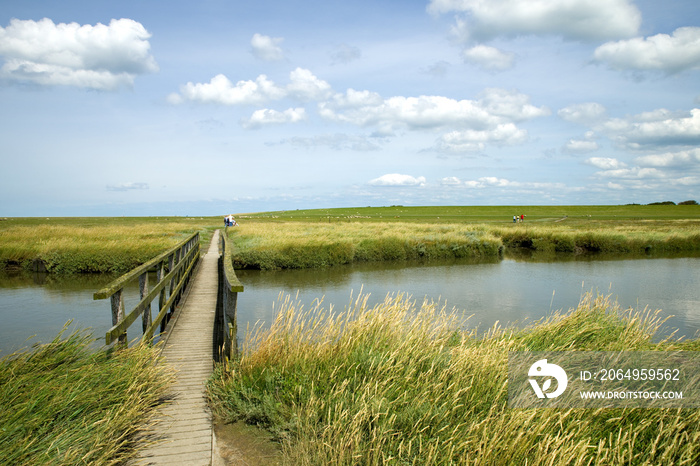 Holzsteg an der Nordsee