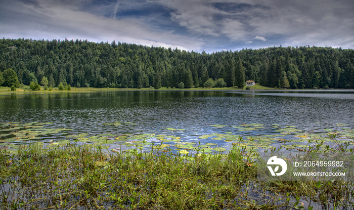 Lac Genin à Oyonnax, Ain, France