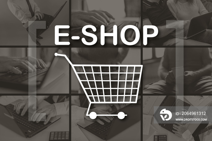 Concept of e-shop