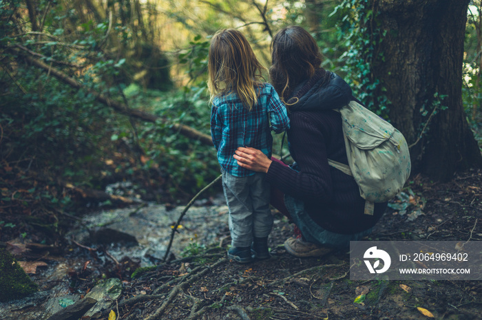 Mother and toddler by brook in the woods