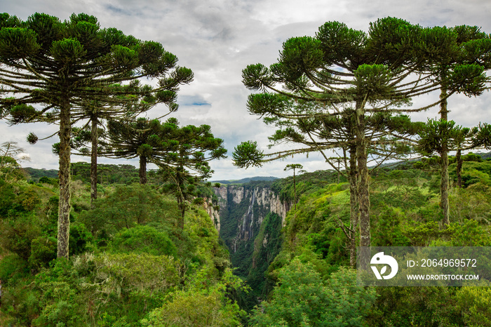 Beautiful view of the Itaimbezinho Canyons in Cambará do Sul. Brazil.