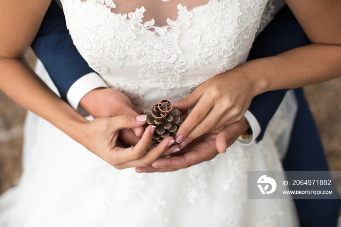 Groom embraces bride in a pine forest, their hands holding a lump