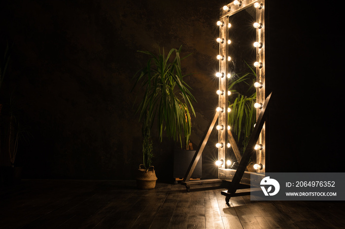 Toilet mirror stands on a wooden floor with light bulbs for lighting
