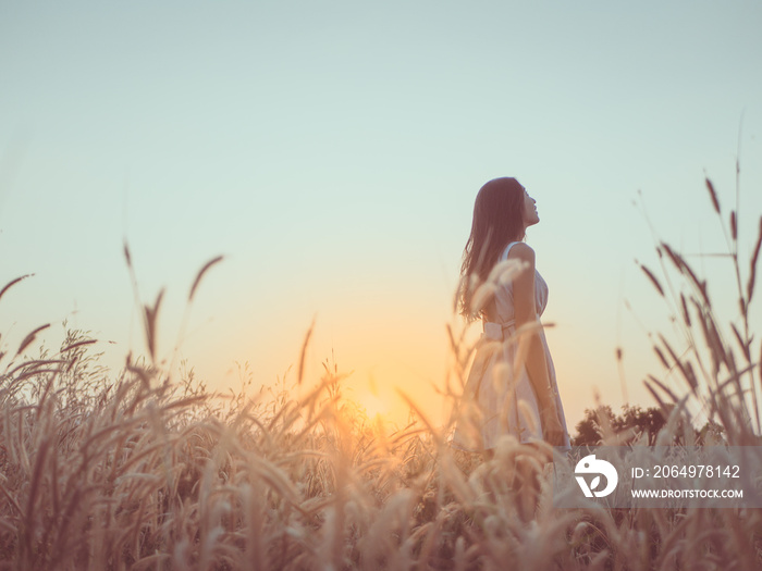 Trendy girl in stylish summer dress feeling free in the field with flowers in sunshine.