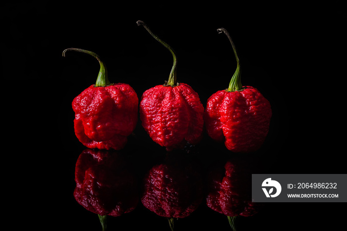 Carolina Reaper chilli on black background, the hottest chile pepper with dark food photography styl