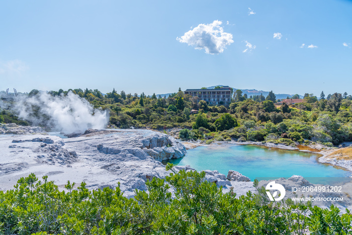 Pohutu geyser at Te puia village near Rotorua, New Zealand