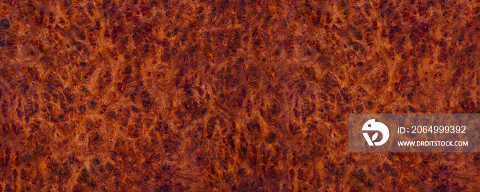 Nature Burma padauk burl wood striped are wooden beautiful pattern for crafts or art background