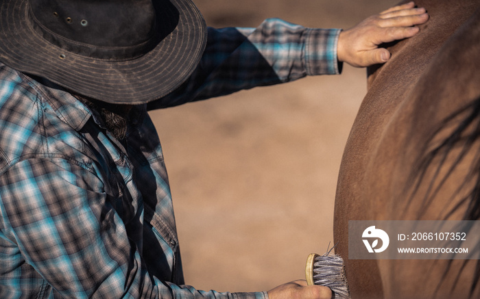 Veteran Cowboy Brushing Horse