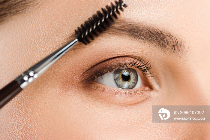 cropped view of woman holding eyebrow brush near eyebrow