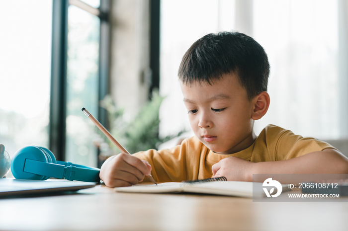 英俊可爱的亚洲男孩，坐在家里用笔记本电脑学习时看着镜头