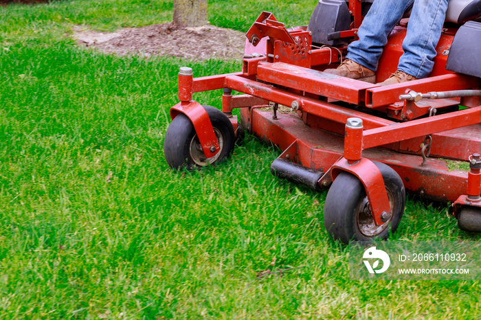 Lawn mower cutting green grass in backyard