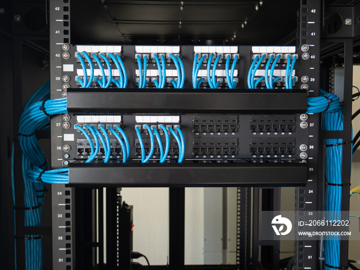 Network ethernet cables and path panel in rack cabinet