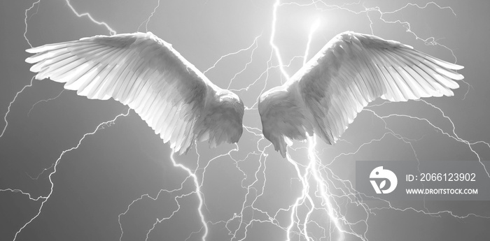 Angel wings with background made of sky and lightning in black and white