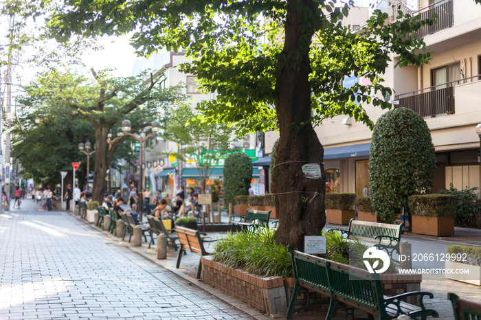 自由が丘・九品仏川緑道（東京都世田谷区奥沢）