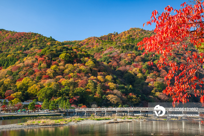 秋の嵐山