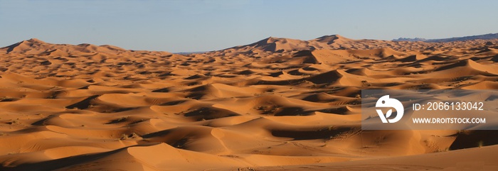 désert de Merzouga