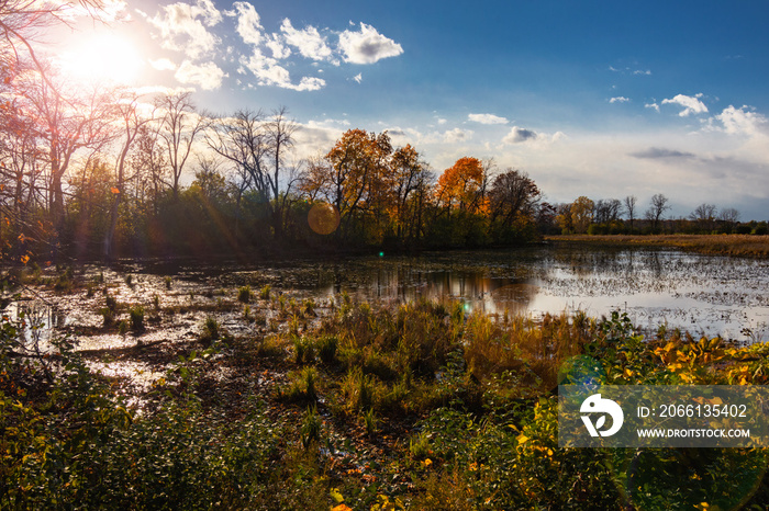 秋天，眺望威斯康星州沃克沙县的低地沼泽。
