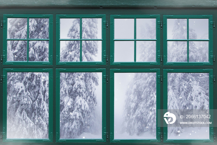 窗框外有雪杉树