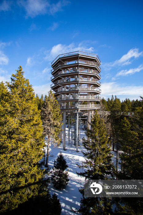 Walk above treetops - touristic attraction in Rogla, Slovenia