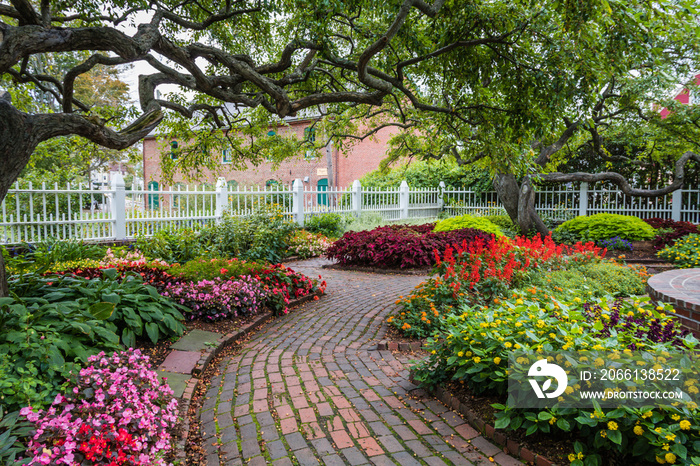 Winding pathway through beautiful garden in Portsmouth