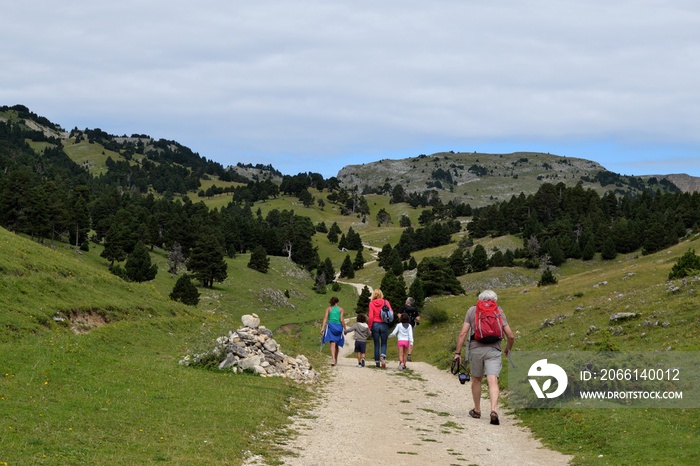 Vallée du Combeau : chemin