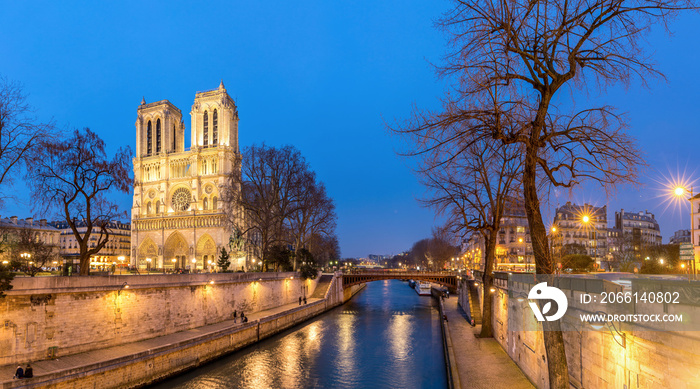 Cathedral Notre Dame Paris