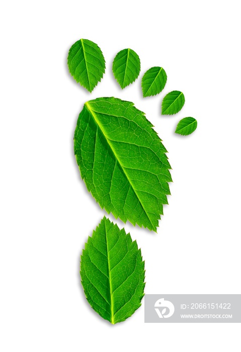 Fußabdruck mit grünen Blättern