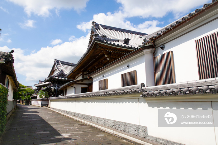 白壁の建物が並ぶ臼杵の街