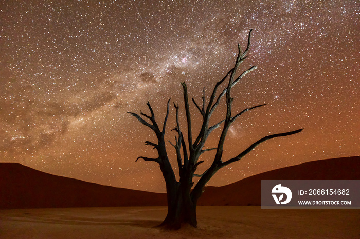 Dead Vlei, Namibia