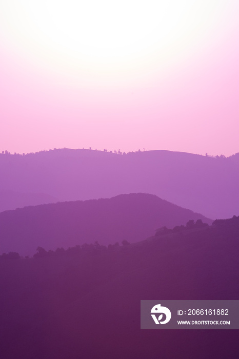 ultra violet purple summer landscape