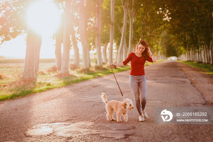 beautiful caucasian woman walking with her cute brown poodle on the road. Pets and lifestyle outdoor