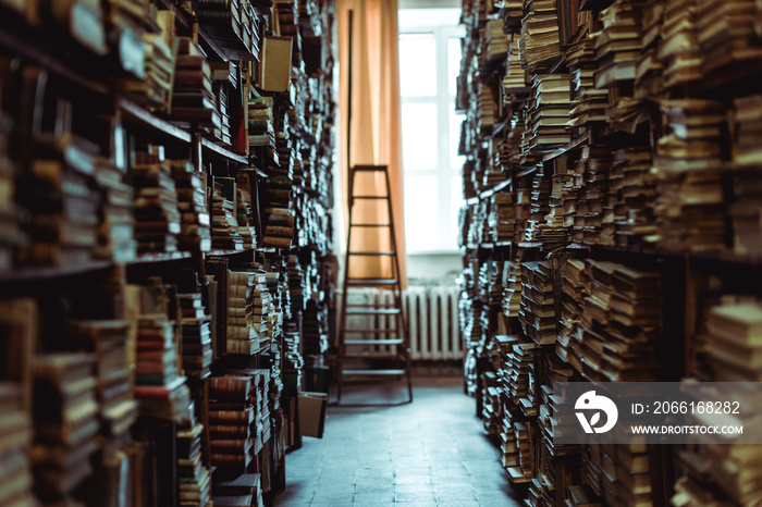 interior of library with books on wooden shelves and ledder