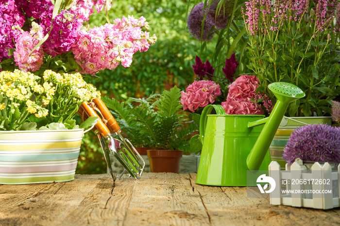 Gardening tools on wood table in the garden