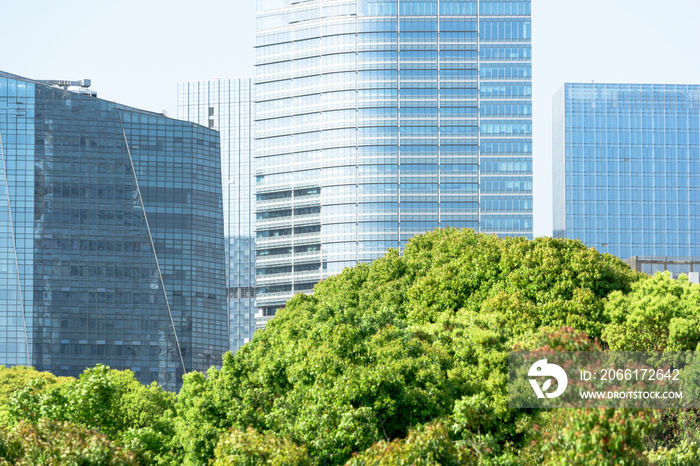 现代城市建筑、城市绿色植物和绿色办公的概念