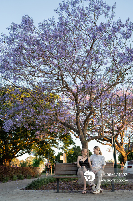 lesbian couple sitting on park bench under beautiful purple tree