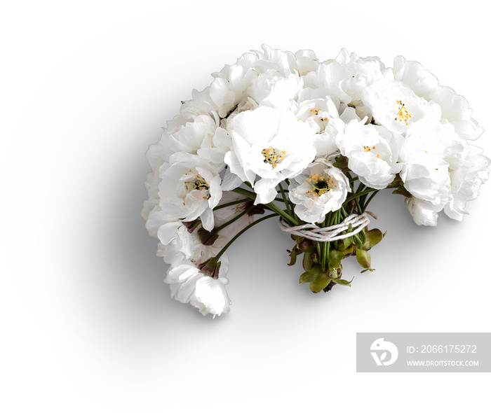 Cherry Blossom Bunch Flatlay White