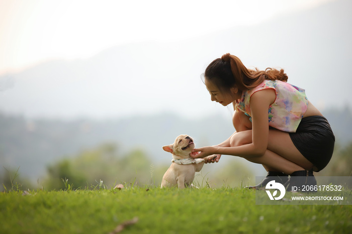 可爱的法国小斗牛犬，夏天主人在公园玩耍。年轻的亚洲女人放松