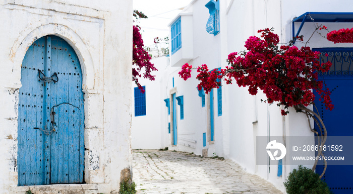 Sidi Bou Said的蓝色门窗和白色墙壁。