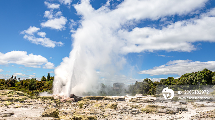 Geyser in New Zealand Rotorua