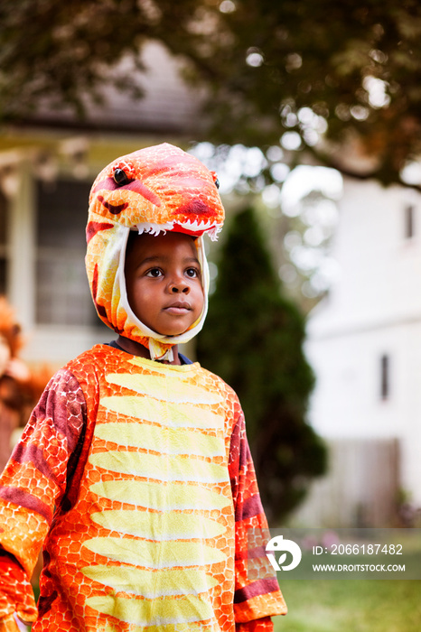 Boy (4-5) wearing costume on halloween