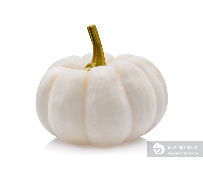 white pumpkin on white background