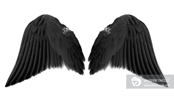白色背景下隔离的黑色天使翅膀