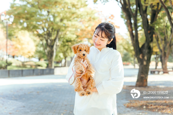 公園で犬と遊ぶ女性