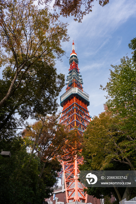 日本东京塔