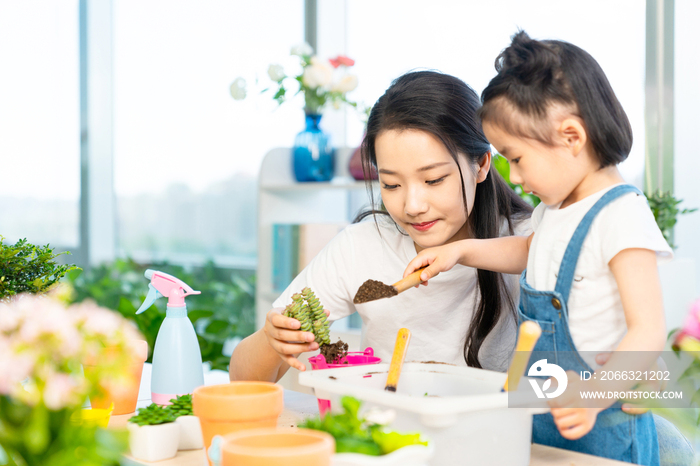 快乐的母女俩在家种植盆栽