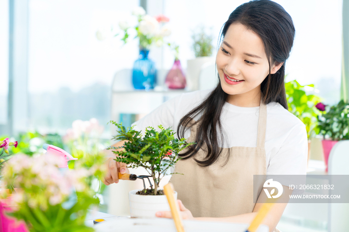 年轻女子在家种植盆栽