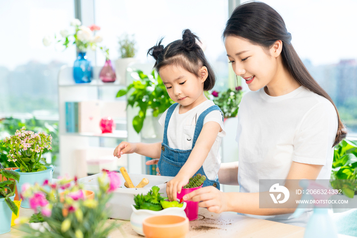 快乐的母女俩在家种植盆栽