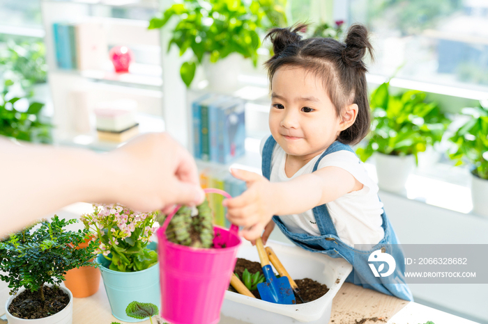 快乐的小女孩在家种植盆栽