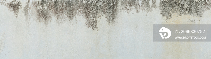 Cement wall background blank for design