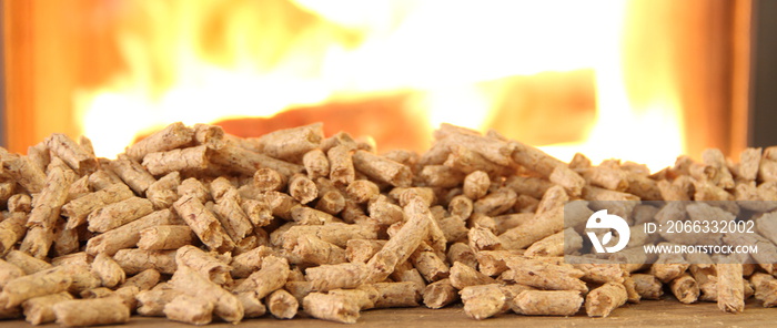 a wood stove with pellets, wood and a toy house